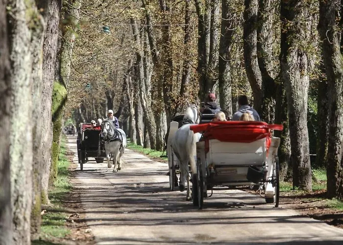 Dm דירה סראייבו